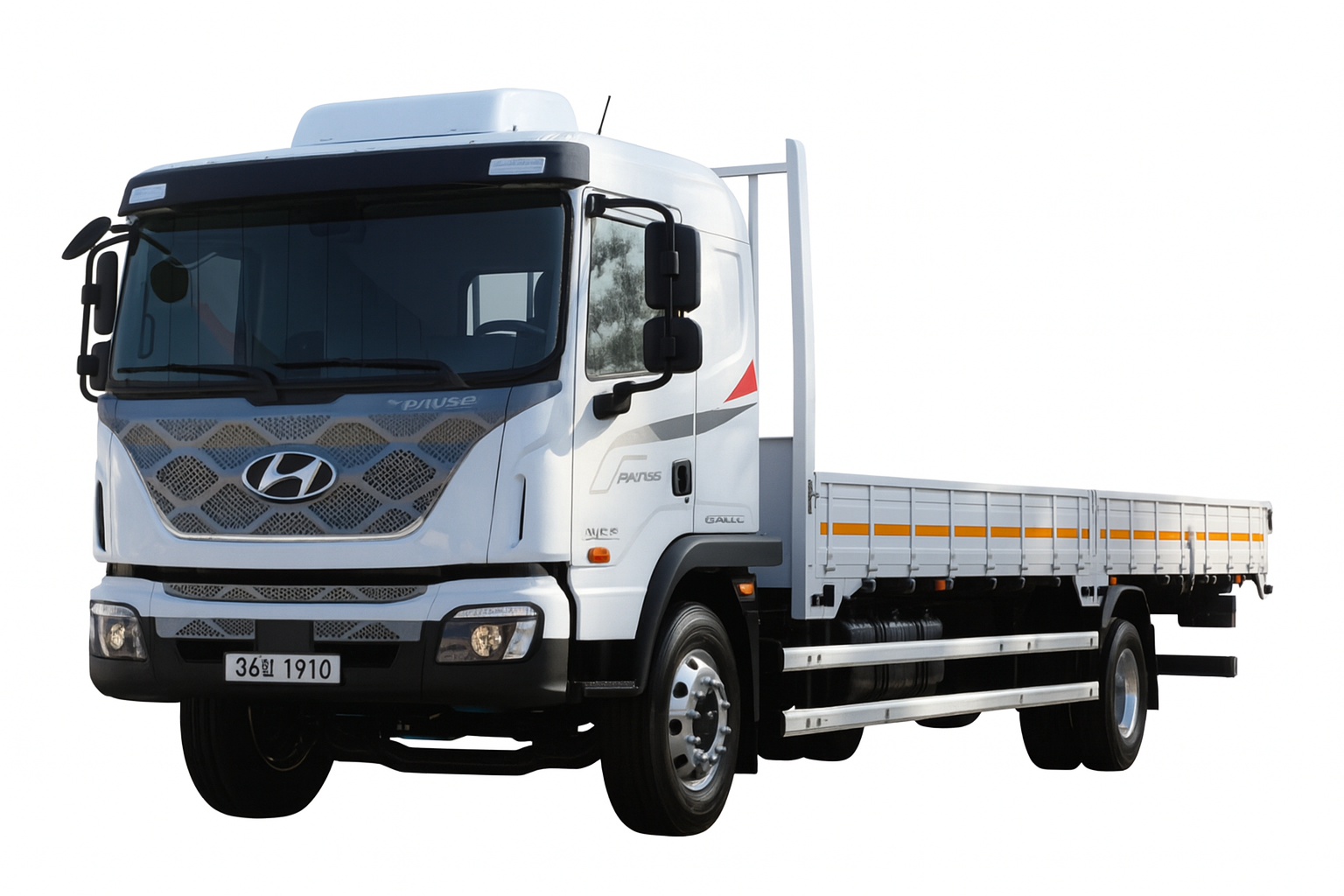 현대 더 뉴 파비스 카고